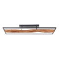 Brilliant - LED Zatemnitvena stropna svetilka CHAUMONT LED/48W/230V guma fig