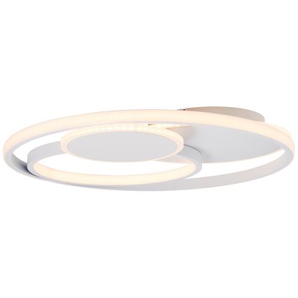 Brilliant - LED Zatemnitvena stropna svetilka RUNDA LED/50W/230V 3000-6500K bela + Daljinski upravljalnik