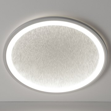 Brilliant - LED Zatemnitvena stropna svetilka TANIDA LED/31W/230V 3000-6500K + Daljinski upravljalnik