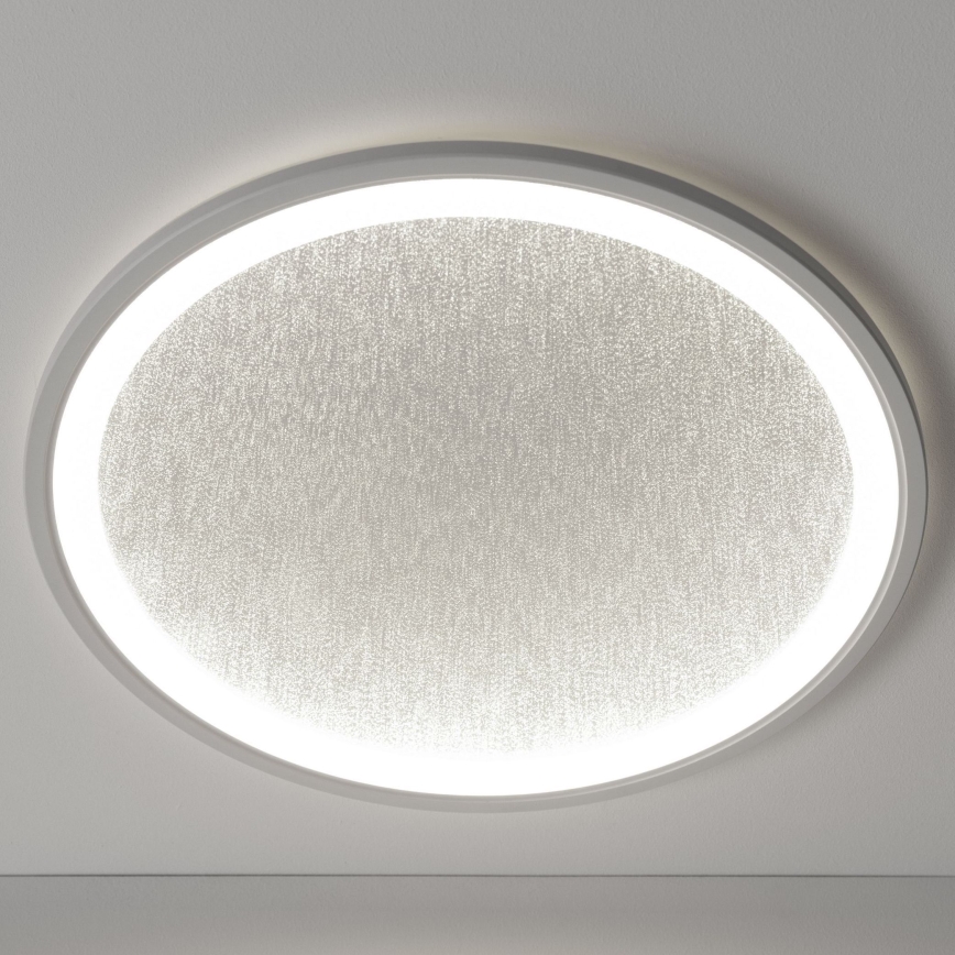 Brilliant - LED Zatemnitvena stropna svetilka TANIDA LED/31W/230V 3000-6500K + Daljinski upravljalnik