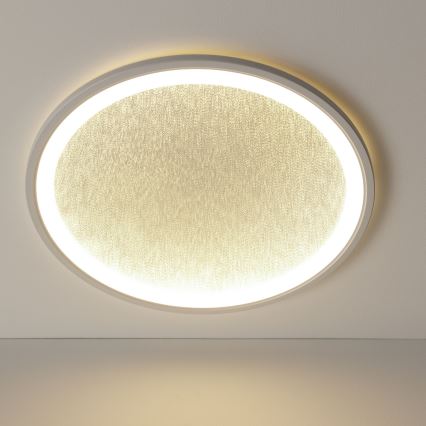 Brilliant - LED Zatemnitvena stropna svetilka TANIDA LED/31W/230V 3000-6500K + Daljinski upravljalnik