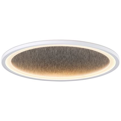 Brilliant - LED Zatemnitvena stropna svetilka TANIDA LED/31W/230V 3000-6500K + Daljinski upravljalnik