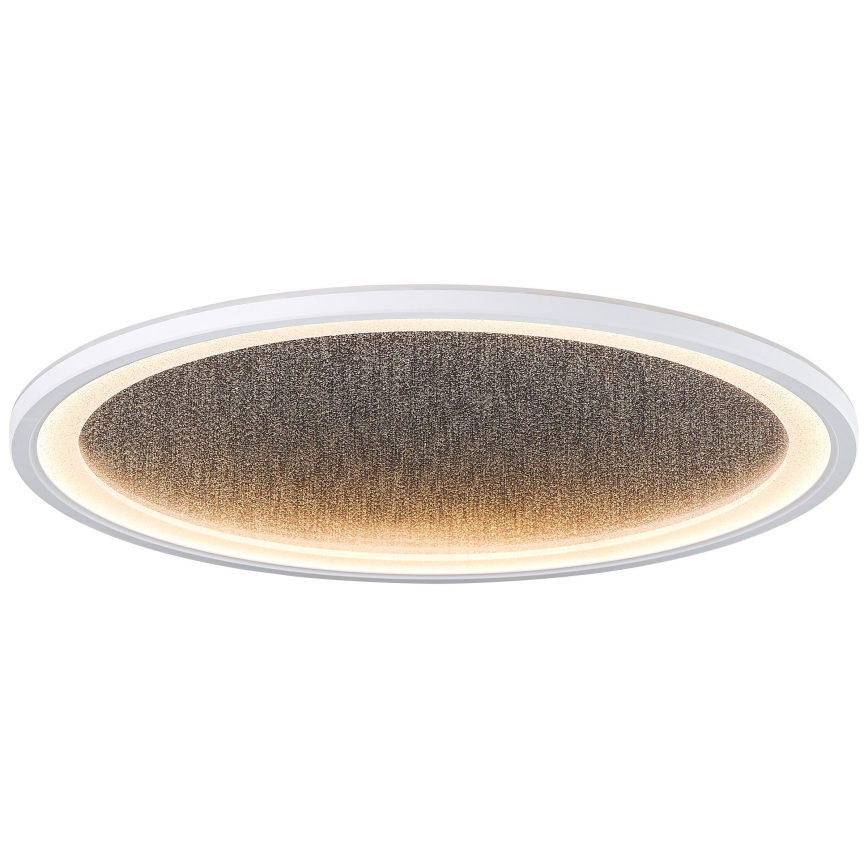 Brilliant - LED Zatemnitvena stropna svetilka TANIDA LED/31W/230V 3000-6500K + Daljinski upravljalnik