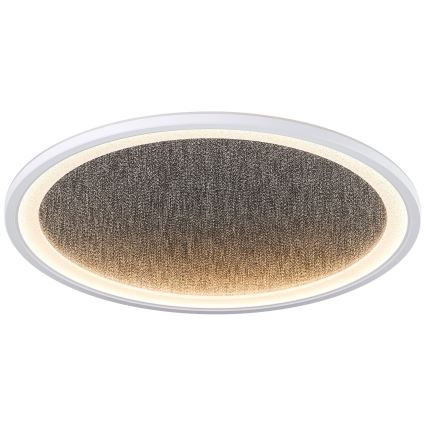 Brilliant - LED Zatemnitvena stropna svetilka TANIDA LED/31W/230V 3000-6500K + Daljinski upravljalnik