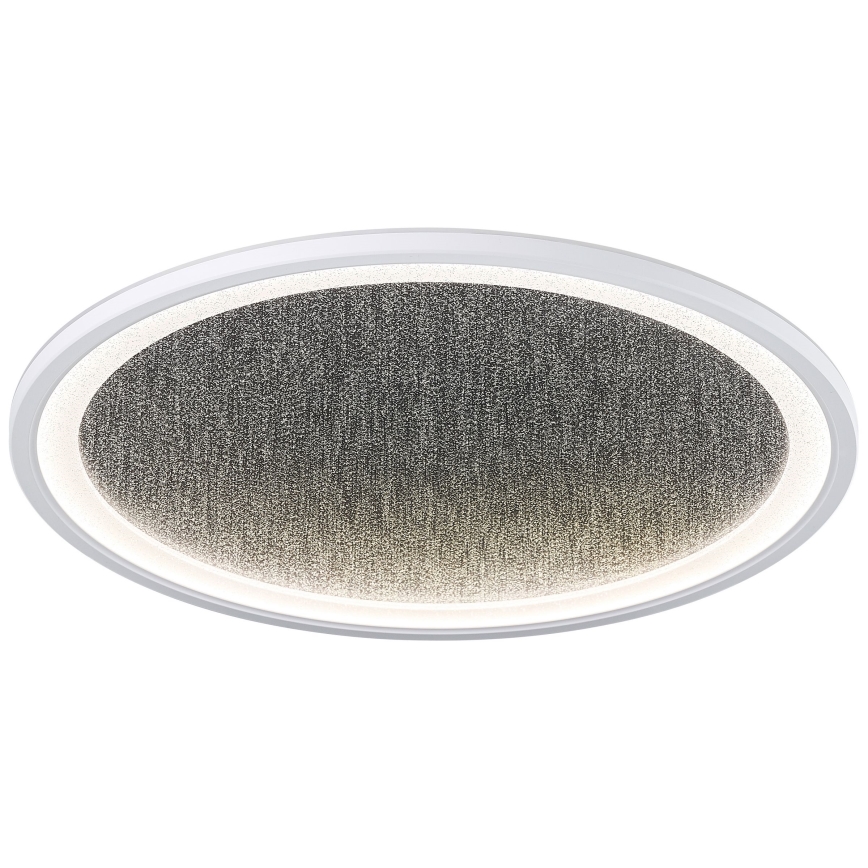 Brilliant - LED Zatemnitvena stropna svetilka TANIDA LED/31W/230V 3000-6500K + Daljinski upravljalnik