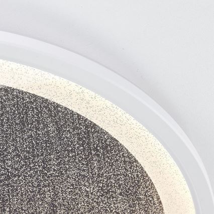 Brilliant - LED Zatemnitvena stropna svetilka TANIDA LED/31W/230V 3000-6500K + Daljinski upravljalnik