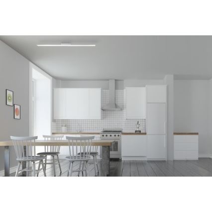 Brilliant - LED Zatemnitveni panel CHARLA LED/22W/230V 7x120 cm 3000K