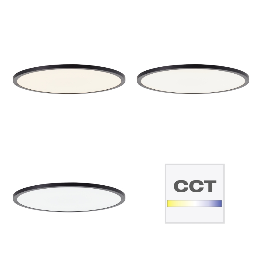 Brilliant - zatemnljivo LED stropno svetilo TUCO LED/33W/230V 3000-6500K premer 50 cm črna + daljinski upravljalnik