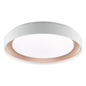 Brilliant - LED zatemnjivo stropno svetilo WALDO LED/24W/230V 3000-6500K premer 38,5 cm bela/rožnato zlata + daljinski upravljalnik