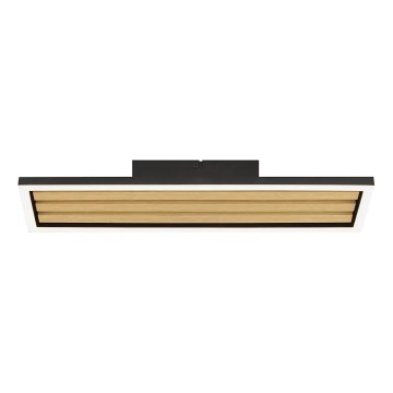Brilliant - LED Zatemnljivo stropno svetilo CALMA LED/15W/230V črna