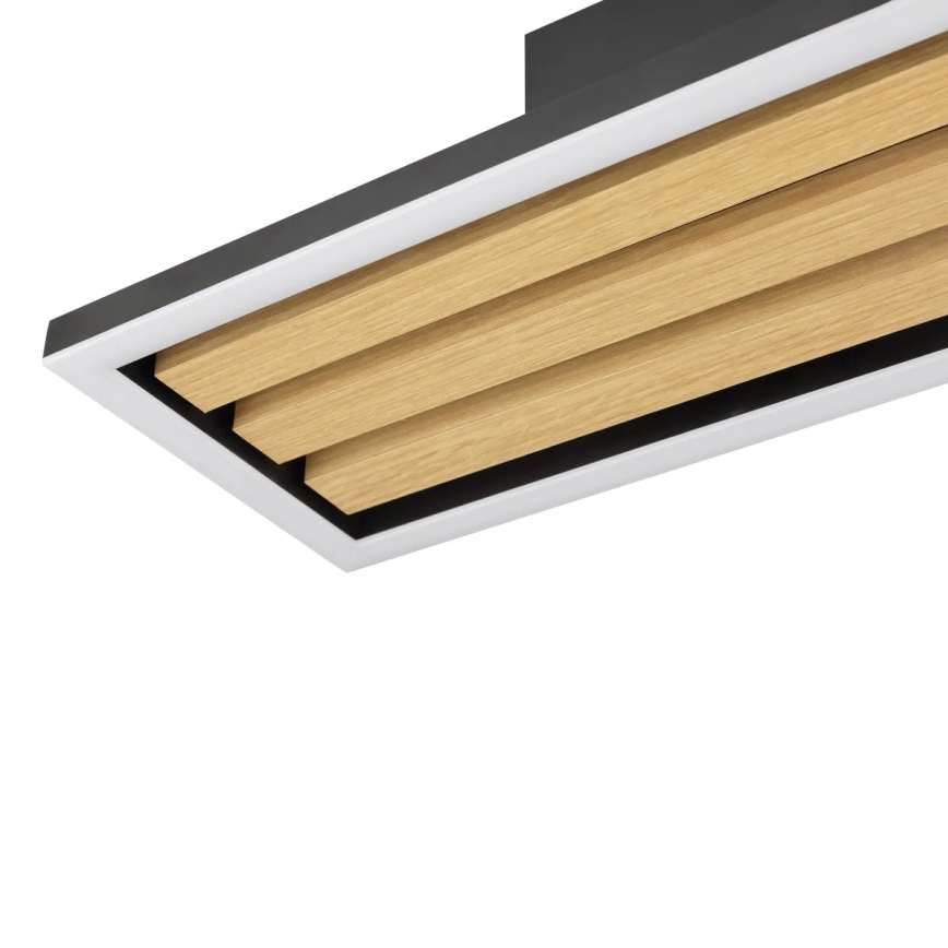 Brilliant - LED Zatemnljivo stropno svetilo CALMA LED/15W/230V črna
