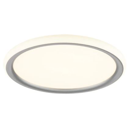 Brilliant - LED zatemnjiva stropna svetilka CARLOZ LED/16W/230V premer 30 cm bela/siva