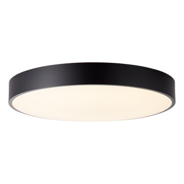 Brilliant - LED zatemnljivo stropno svetilo SLIMLINE LED/50W/230V 1800-6500K premer 49 cm črna + daljinski upravljalnik