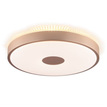 Brilliant - stropna LED svetilka TAVIS LED/24W/230V premer 44,5 cm rožnato zlato