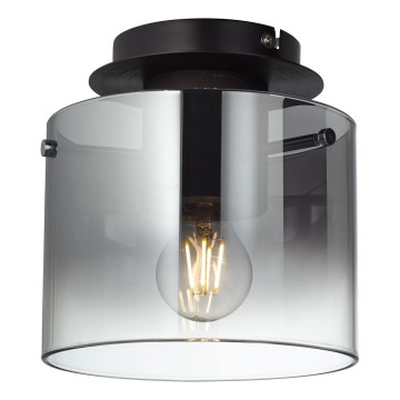 Brilliant - Stropno svetilo BETH 1xE27/60W/230V črno/dimljeno