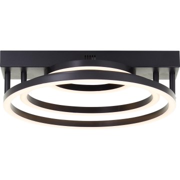 Brilliant - Stropno svetišče LED PEDLEY LED/36W/230V dimabilno, črno