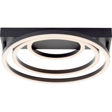 Brilliant - zatemnjevalna LED stropna svetilka PEDLEY LED/36W/230V črna