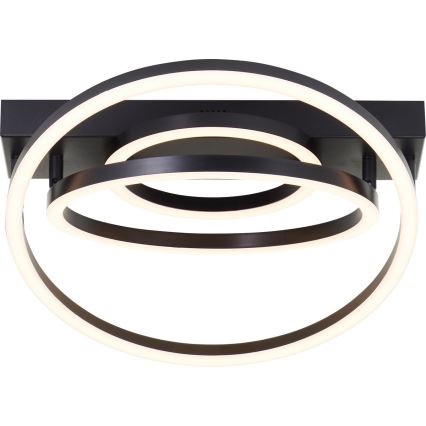 Brilliant - zatemnjevalna LED stropna svetilka PEDLEY LED/36W/230V črna