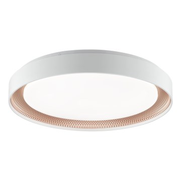 Brilliant - zatemnjiva stropna LED svetilka WALDO LED/36W/230V 3000-6500K Ø 48,5 cm bela/rožnato zlato + daljinski upravljalnik