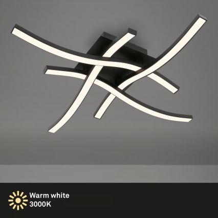 Brilo 3677-045 - LED stropna svetilka LED/14,4W/230V črna