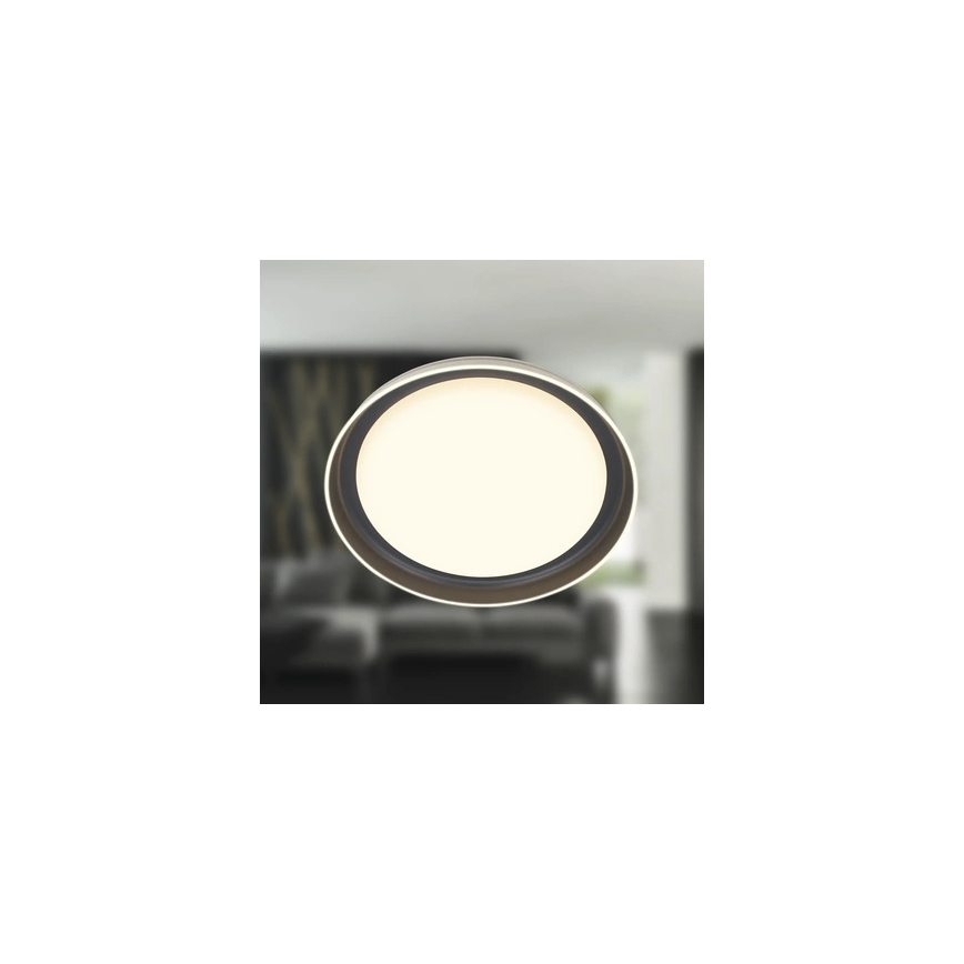 Brilo - LED stropna svetilka IJUS LED/24W/230V 3000K, premer 43 cm