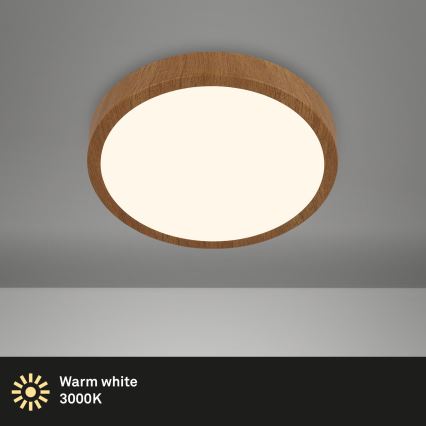 Brilo - LED Stropna svetilka RUNA LED/12W/230V