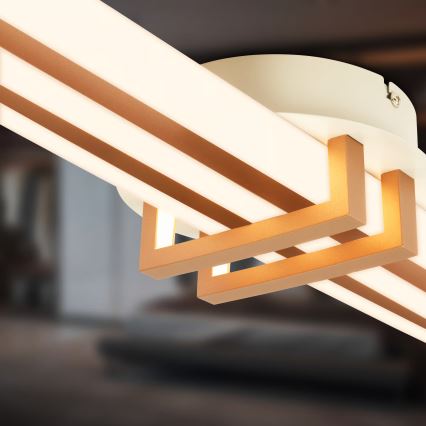 Brilo - LED stropna svetilka TINKA LED/30W/230V 3000K medena