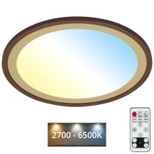 Brilo - LED Zatemnitvena stropna svetilka SLIM LED/22W/230V 2700-6500K + Daljinski upravljalnik