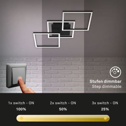 Brilo - LED Zatemnitveni nadgradni lestenec FRAME LED/30W/230V