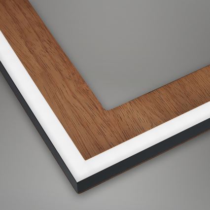 Brilo - LED Zatemnitveni nadgradni lestenec FRAME LED/45W/230V 2700-6500K + Daljinski upravljalnik