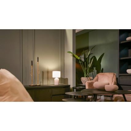 Brilo - Namizna svetilka INO 1xE14/10W/230V rjava