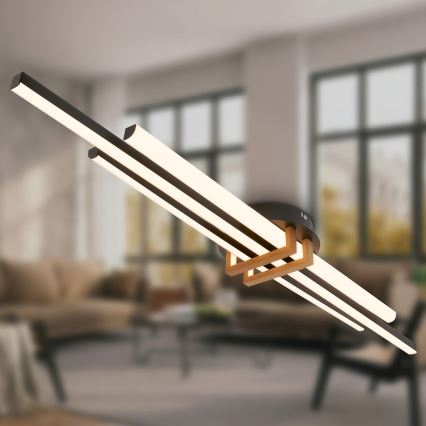 Brilo - stropna LED svetilka TINKA LED/30W/230V 3000K črna