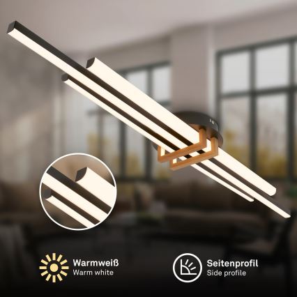 Brilo - stropna LED svetilka TINKA LED/30W/230V 3000K črna