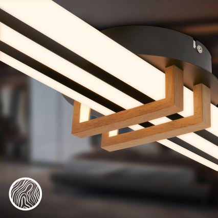 Brilo - stropna LED svetilka TINKA LED/30W/230V 3000K črna