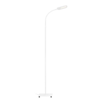 Briloner 1297-016 - LED Zatemnitven talna svetilka na dotik LED/8W/230V 3000/4000/6000K