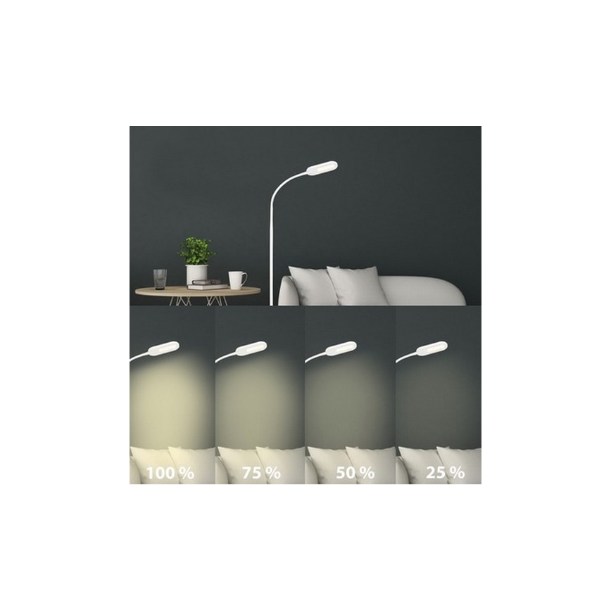 Briloner 1297-016 - LED Zatemnitven talna svetilka na dotik LED/8W/230V 3000/4000/6000K