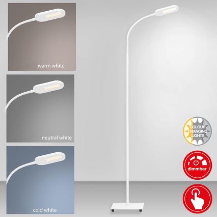 Briloner 1297-016 - LED Zatemnitven talna svetilka na dotik LED/8W/230V 3000/4000/6000K