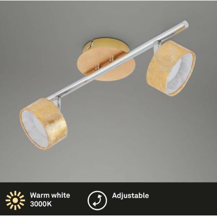 Briloner 2038-027 - LED Reflektor ANNA 2xLED/5W/230V
