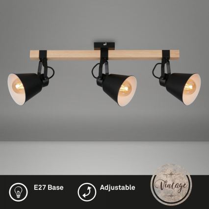 Briloner 2406-035 - Reflektor SPOT 3xE27/40W/230V