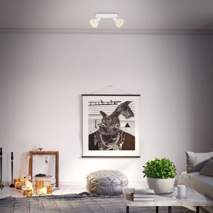 Briloner 2674-026 - Reflektor RETRO 2xE14/25W/230V bela