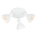 Briloner 2674-036 - Reflektor RETRO 3xE14/25W/230V bela