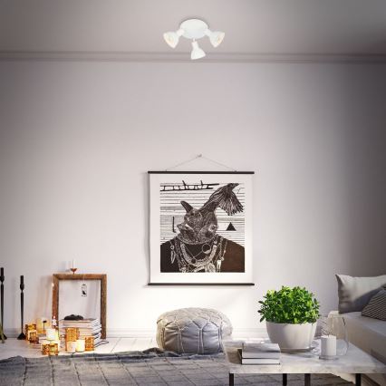 Briloner 2674-036 - Reflektor RETRO 3xE14/25W/230V bela