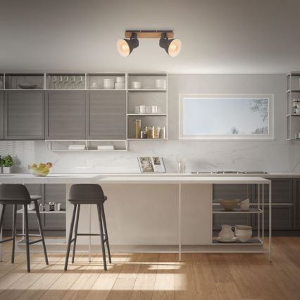 Briloner 2742-025 - Reflektor SPOTLIGHT 2xE27/40W/230V črna/rjava