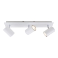 Briloner 2857-036 - Reflektor SPOT 3xGU10/40W/230V bel