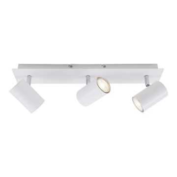 Briloner 2857-036 - Reflektor SPOT 3xGU10/40W/230V bel