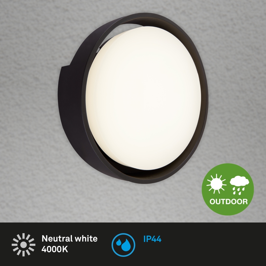 Briloner 3019-015 - LED Zunanja stenska luč GENUA LED/18W/230V IP44 črna