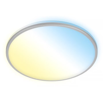 Briloner 3064-014 - LED stropna svetilka IVY, z možnostjo zatemnitve, LED/24W/230V, Wi-Fi Tuya, premer 33,3 cm + daljinski upravljalnik