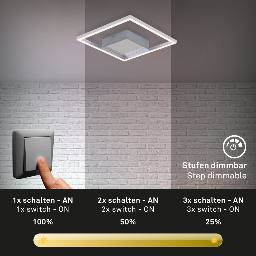Briloner 3105-018 - LED Zatemnitvena stropna svetilka FRAMES LED/9,7W/230V