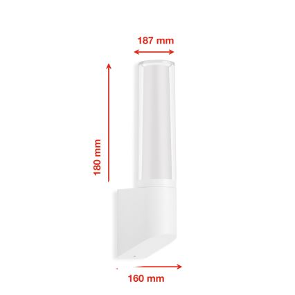 Briloner 311306TF - LED Zunanja stenska svetilka LED/8W/230V 4000K IP44 bela