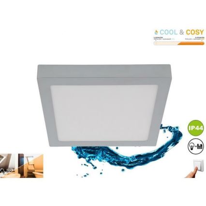Briloner 3142-018 - LED Kopalniška stropna svetilka COOL&COSY LED/21W/230V 2700/4000K IP44